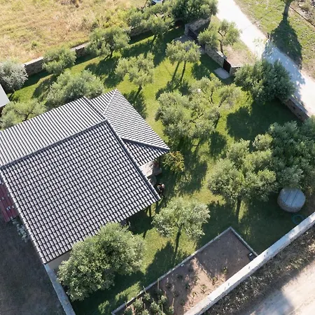 Holiday home Elaion Lithos Toroni