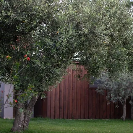 Elaion Lithos Holiday home Toroni