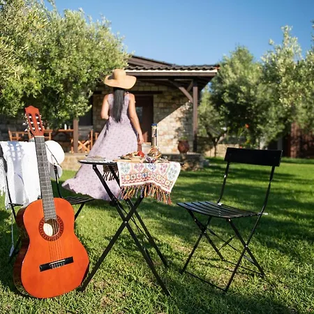Holiday home Elaion Lithos Toroni